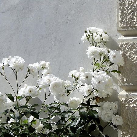 Villa Barberina Valdobbiadene Kültér fotó
